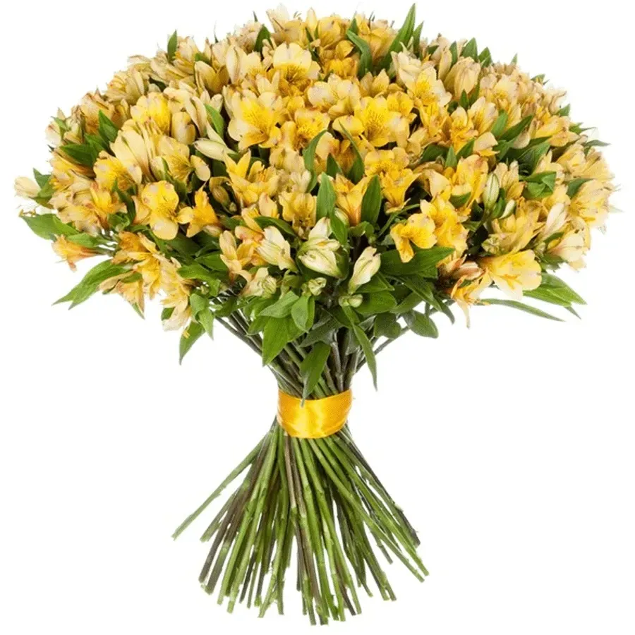 Альстромерия желтая