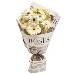 Букет из 15 гербер белого цвета