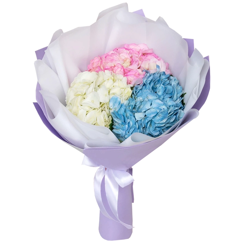 Букет из 3 гортензий микс