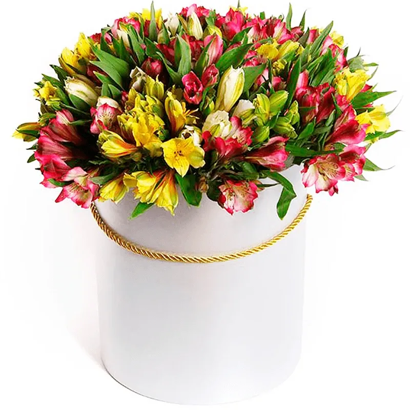 Цветы в коробке Линетт