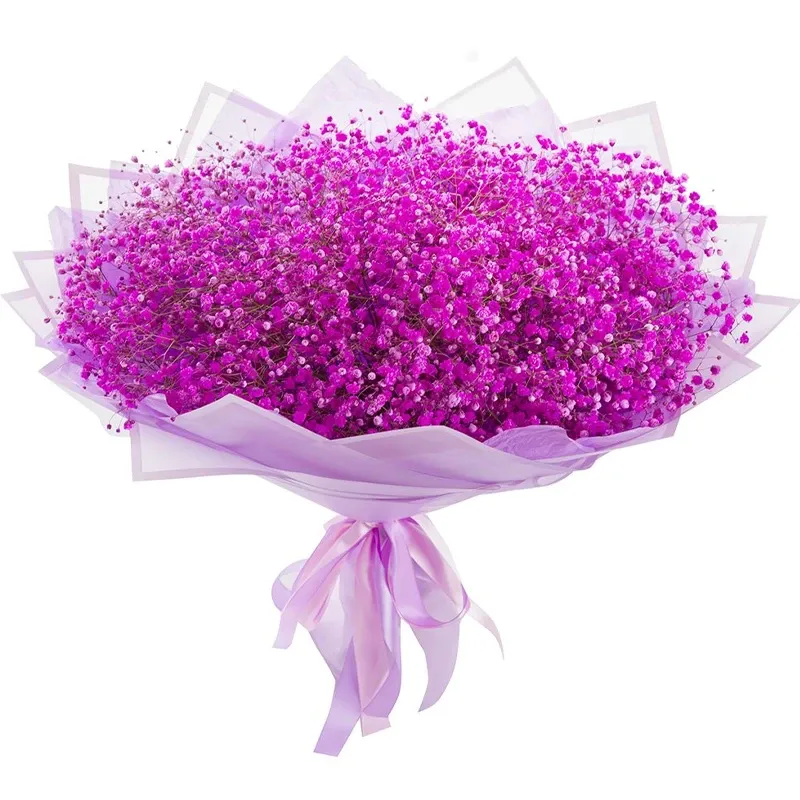 Гипсофила розовая