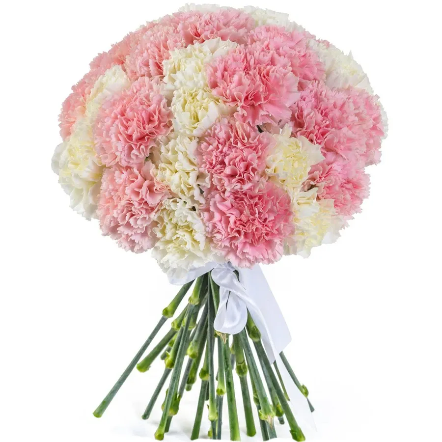 Гвоздика микс розово-белая